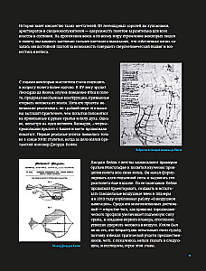 The Physics of Flight. From the First Gliders to Modern Drones